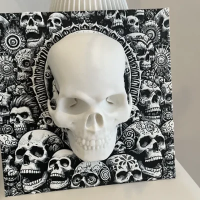 3D Skull Sculpture