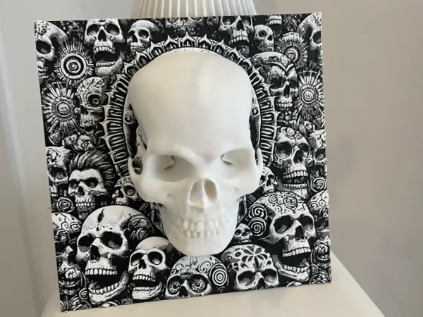 3D Skull Sculpture