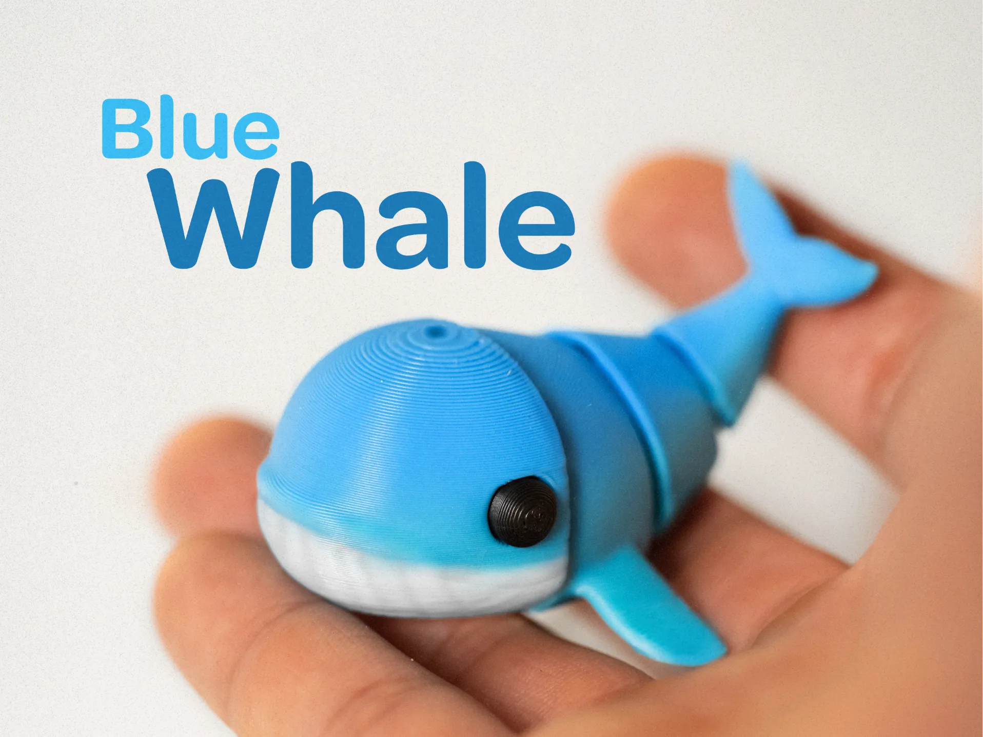 Mini Whale Flexie