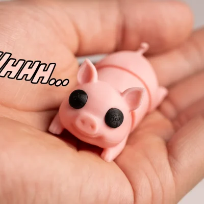 Tiny Pig Flexie