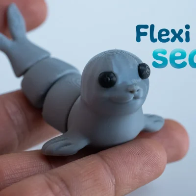 Seal Flexie
