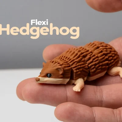 Hedgehog Flexie