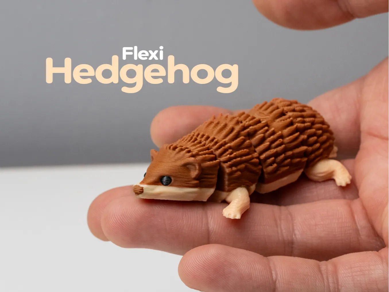 Hedgehog Flexie